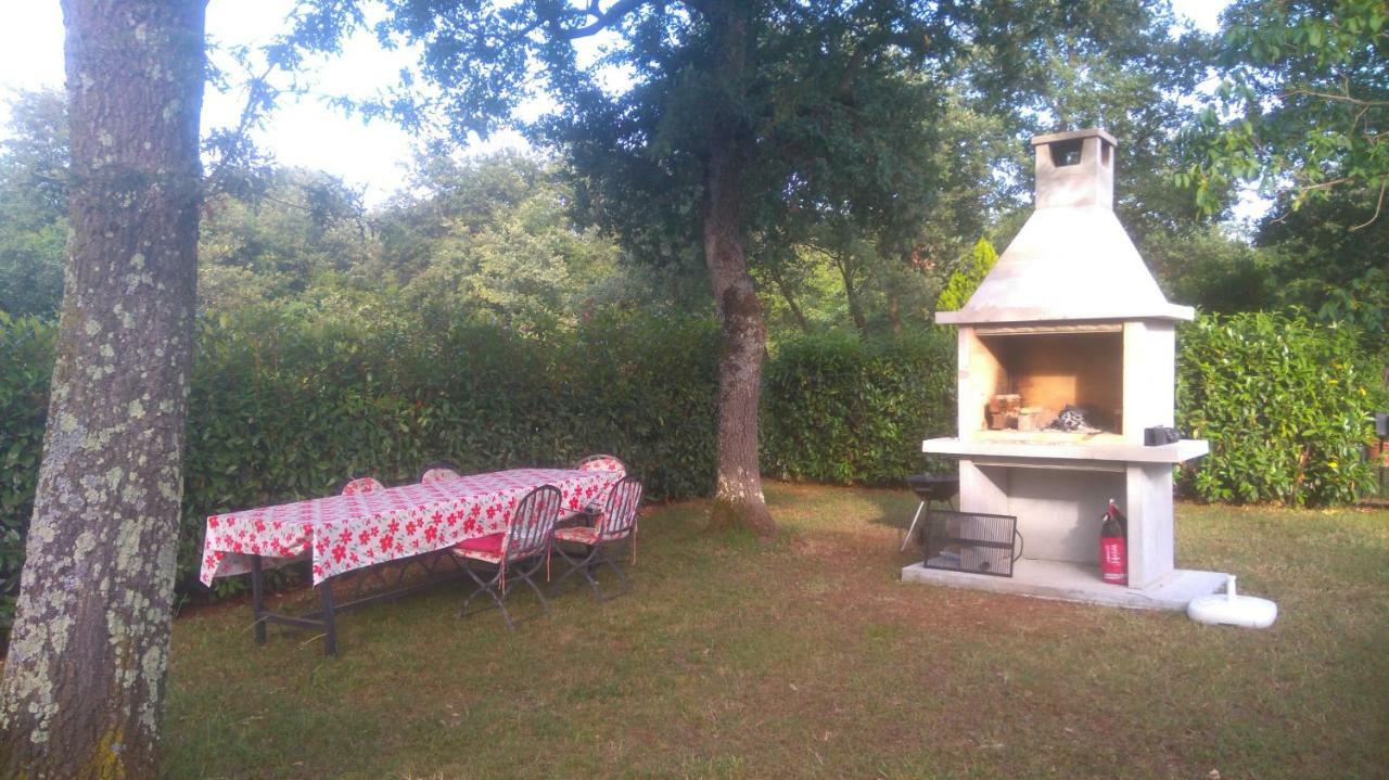 Apartmani Bauk Porec Exterior photo