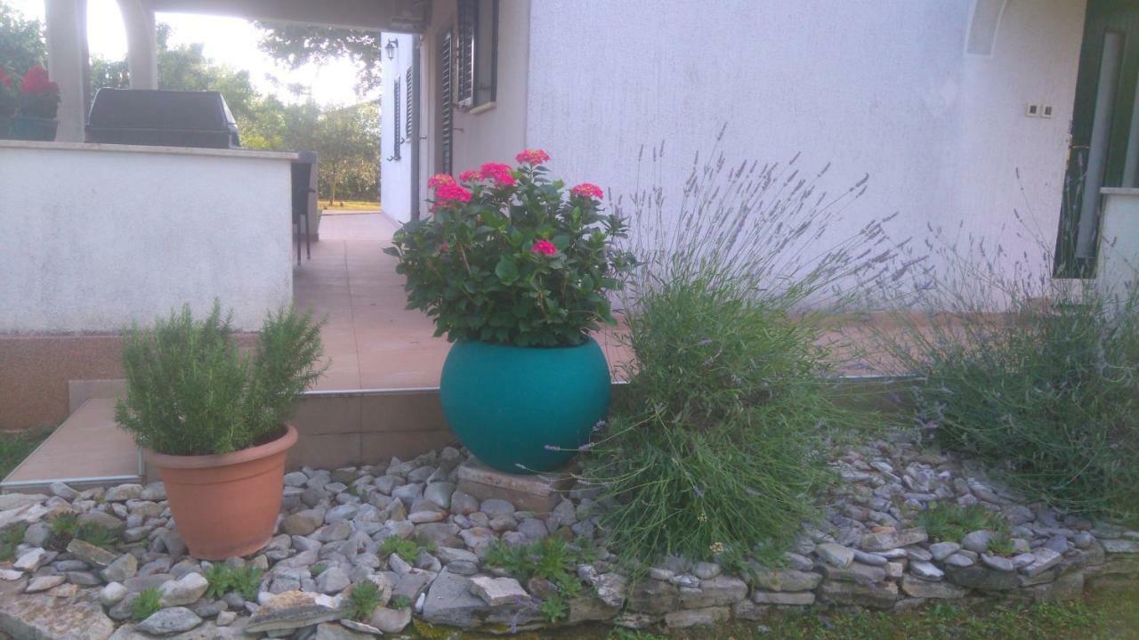 Apartmani Bauk Porec Exterior photo