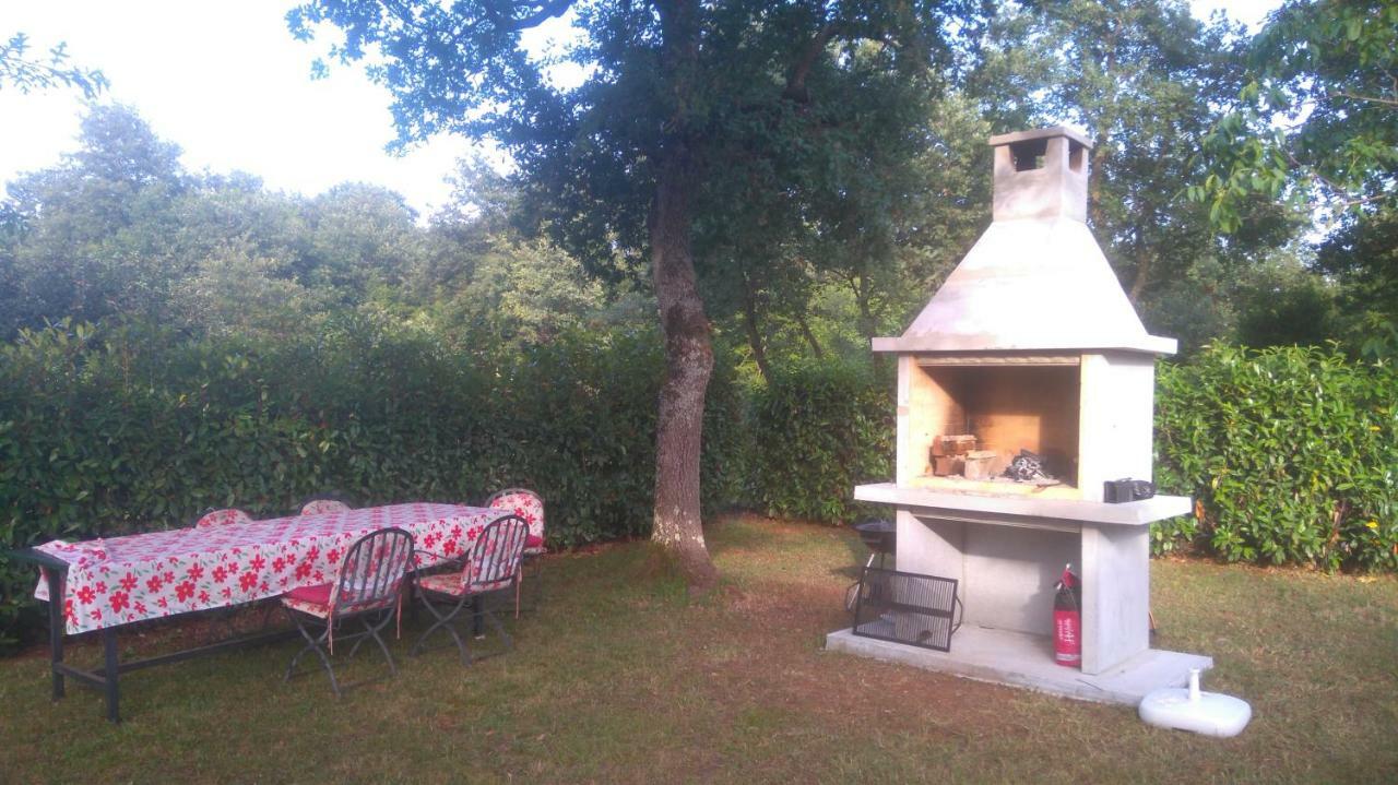 Apartmani Bauk Porec Exterior photo