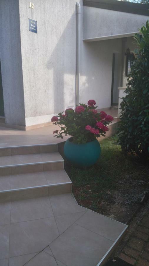 Apartmani Bauk Porec Exterior photo